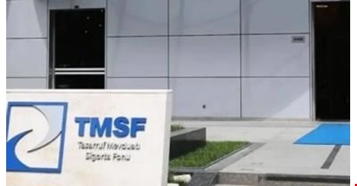 Hat Holding ve Investco Holding’e kayyum: TMSF yönetime el koydu