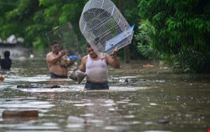 Meksika'da şiddetli yağışlar nedeniyle 42 kişi hayatını kaybetti, 27 kişi kayboldu
