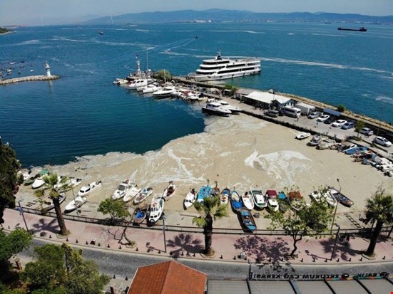 Müsilaj İklim Değişikliği ve Çevre Kirliliğin Bir Sonucu