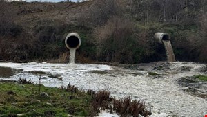 Organize kirlilik bölgesi