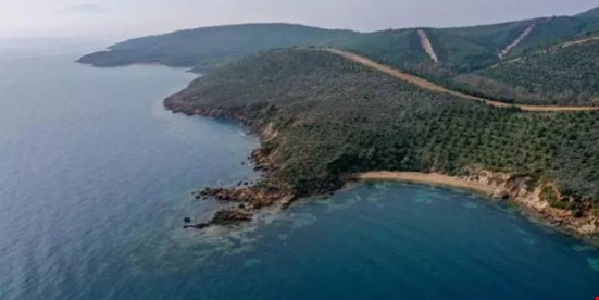 Ormanlık alanlarda madenciliğe izin veren yönetmeliğe karşı dava açıldı