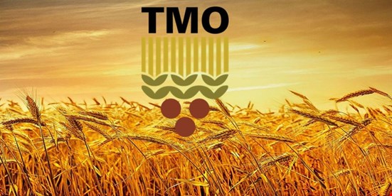 Toprak Mahsulleri Ofisi'nin zararı rekor kırdı: 12 milyar TL