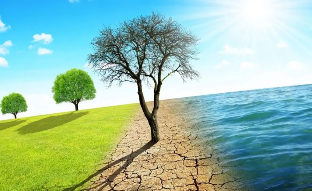 Türkiye kronik kuraklık çağında: Her damla yağmurdan yararlanmalıyız