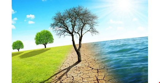 Türkiye kronik kuraklık çağında: Her damla yağmurdan yararlanmalıyız