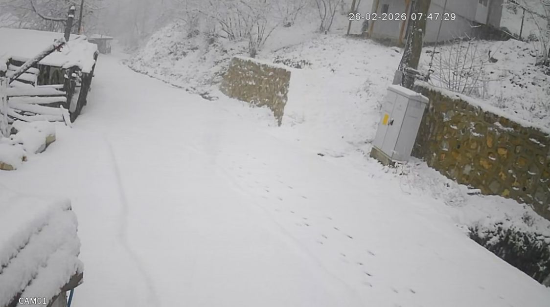 Türkiye soğuk hava dalgasının etkisi altında: İstanbul'a kar geliyor