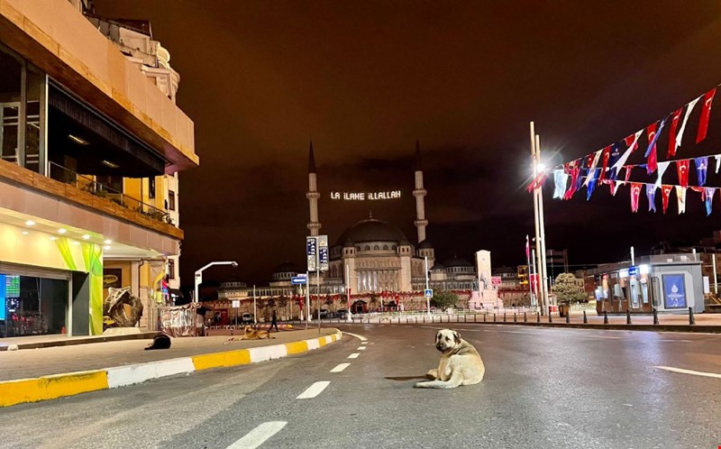 Türkiye'de 17 gün kesintisiz sokağa çıkma yasağı uygulanan 'tam kapanma' bitiyor