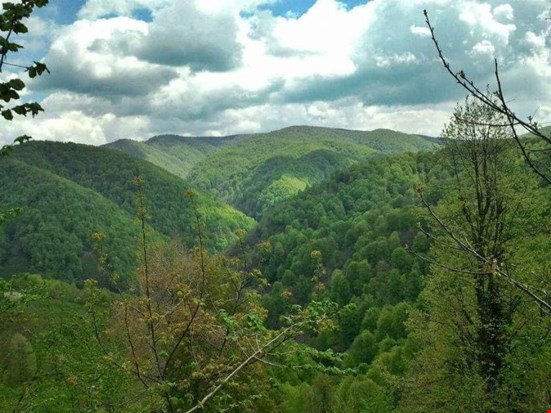Yeni yönetmelikle 248 bin hektar muhafaza ormanı madencilik tehdidi altında