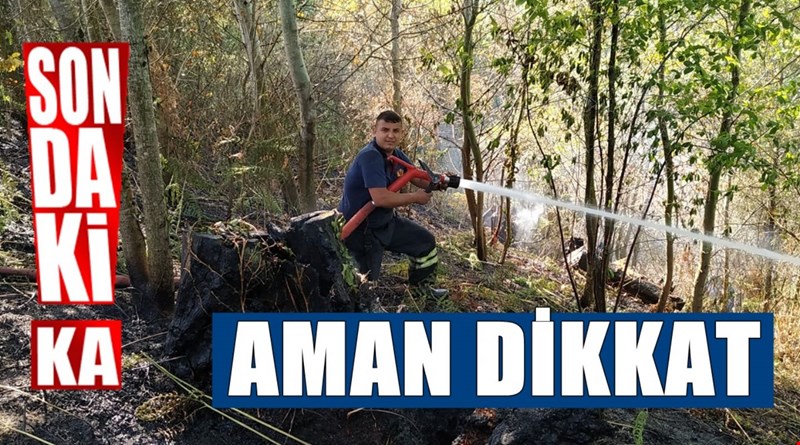 1 dönüm ormanlık alan yandı
