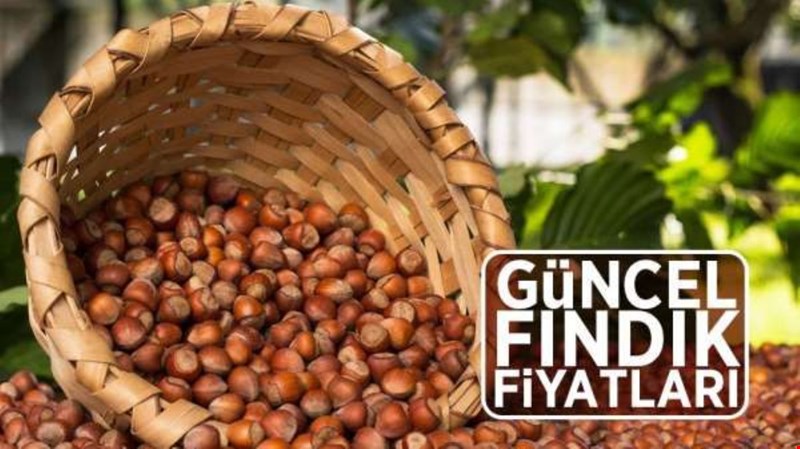 11 Mayıs 2021 Salı il il güncel fındık fiyatları