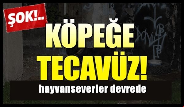 akcakoca da igrenc olay akcakoca tv akcakoca da igrenc olay akcakoca tv