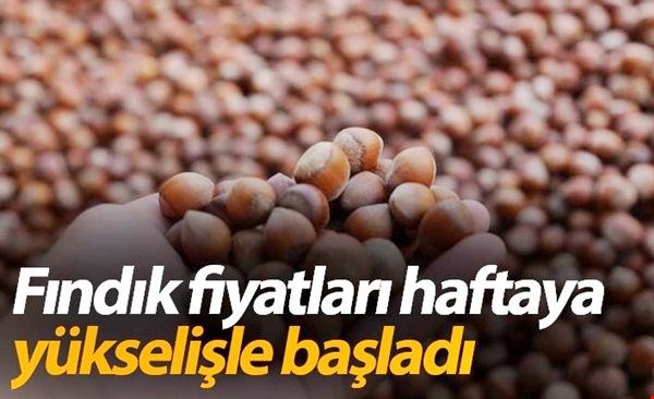 Fındık fiyatları haftaya yükselişle başladı