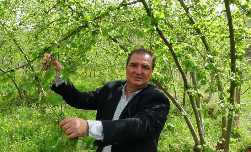 Fındık ihracatının yüzde 85i AB ülkelerine