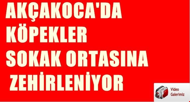 Kim bu vicdansızlar!