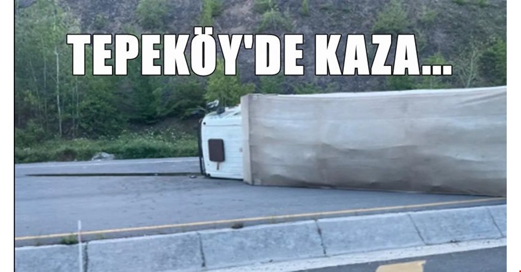 Akçakoca - Düzce yolunda devrildi!
