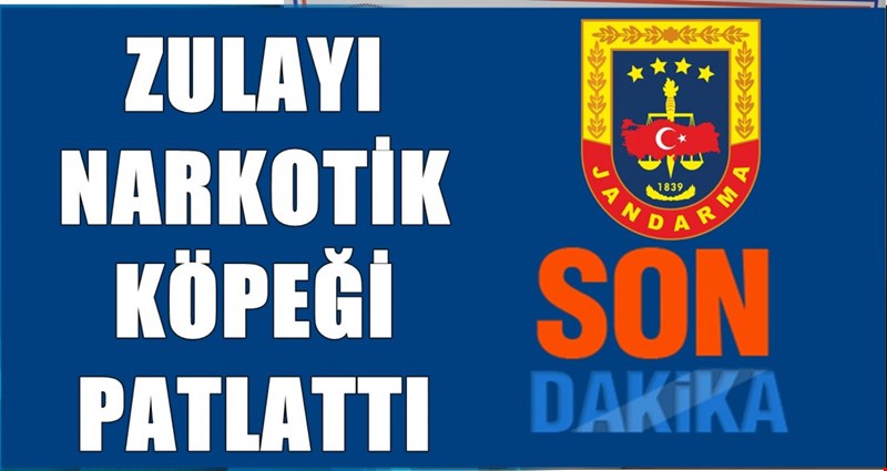 AKÇAKOCA İLÇESİNDE UYUŞTURUCU OPERASYONU, 4 GÖZALTI...