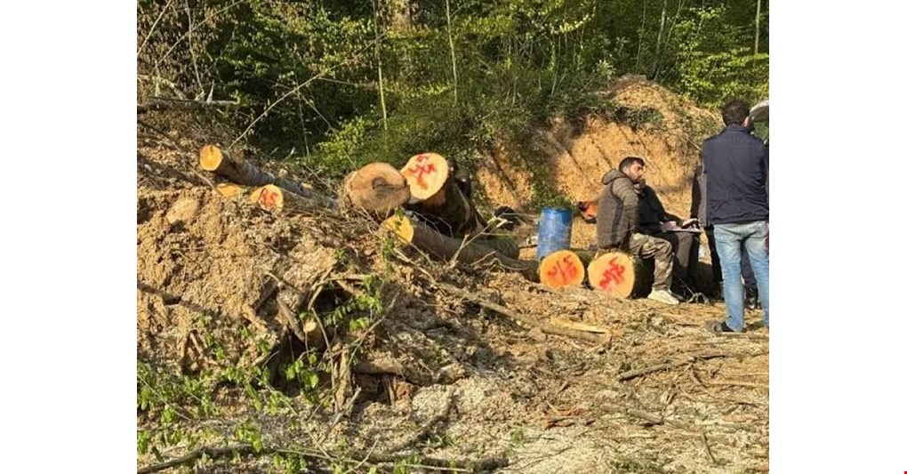 Akçakoca Göktepe'deki Dere Islah Çalışmalarında Yeni Gelişme…