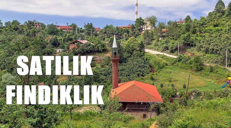 AKÇAKOCA HEMŞİN KÖYÜNDE SATILIK FINDIKLIK