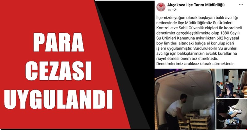 Akçakoca'da, 602 kg yasal boy limitleri altındaki balığa el konuldu