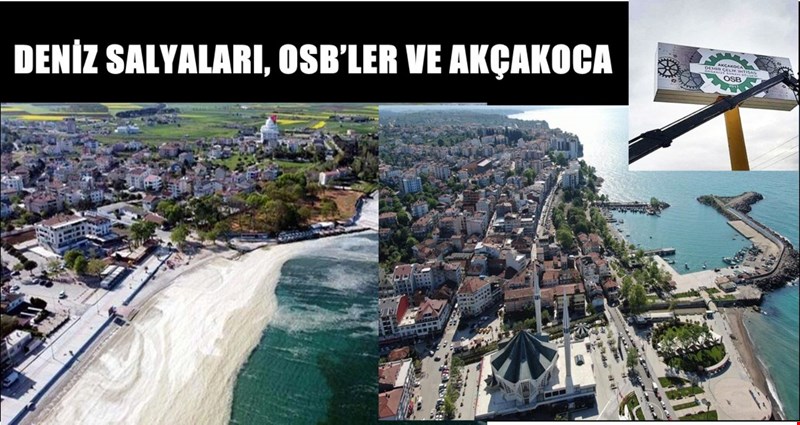 DENİZ SALYALARI, OSB’LER VE AKÇAKOCA