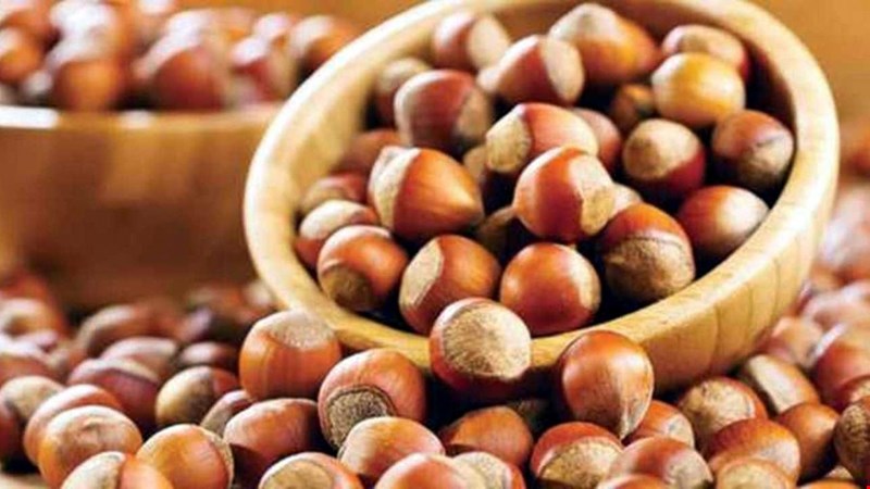 Fındık fiyatı için alıcı memnun, üretici tepkili