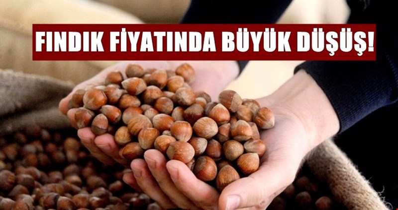 Fındık fiyatı tıkandı! Fındık piyasasında kriz