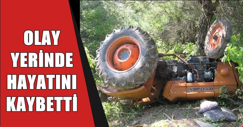 FINDIK TOPLAMAYA GİDİYORLARDI