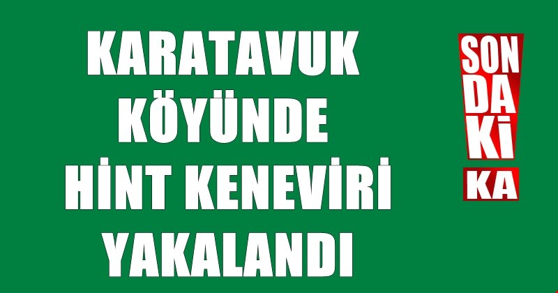 jandarmadan uyuşturucu operasyonu: 1 gözaltı