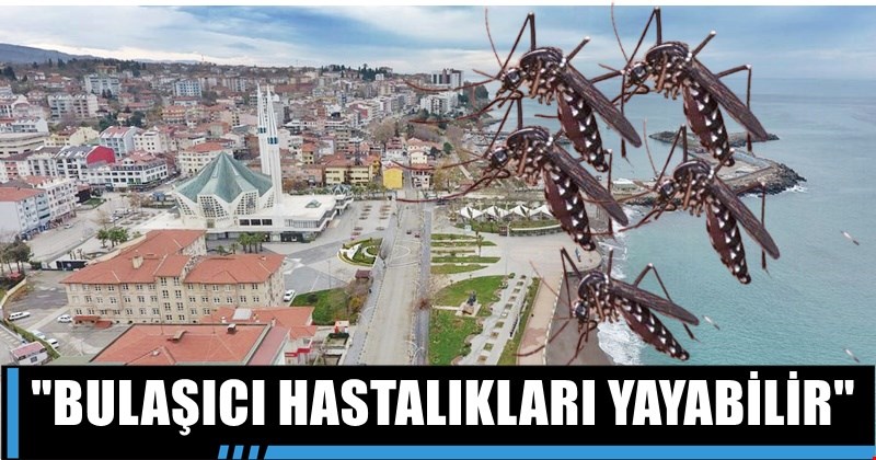 Korkulan oldu! Asya Kaplan Sivrisineği Bölgemize Ulaştı...