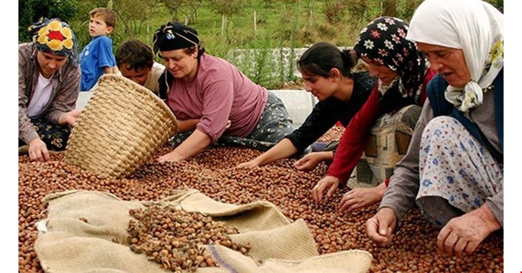 Rekolte 176 bin ton azaldı