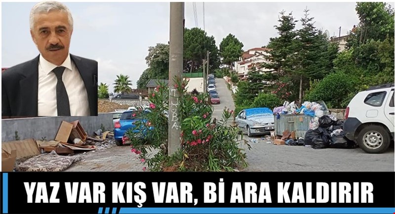TEMİZLİK İŞLERİ MÜDÜRÜ ŞAHİN NE İŞ YAPAR...?