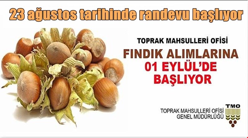 TMO Fındık Alımlarına 1 Eylül'de Başlıyor