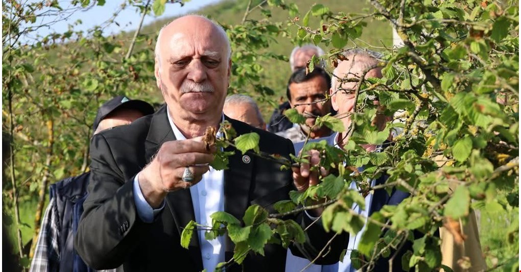TZOB Genel Başkanı Bayraktar, Akçakoca’da zirai don zararını inceledi