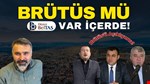 Brütüs mü !..