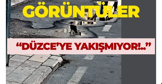 .Cezai işlem uygulanmalı!..