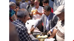 DÜZCE KAVUNU BEDAVA OLUNCA “HAVADA KAPIŞILDI”