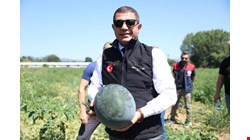 VALİ ASLAN, KARPUZ TARLASINDA "ÜRETİCİNİN YANINDA !.."