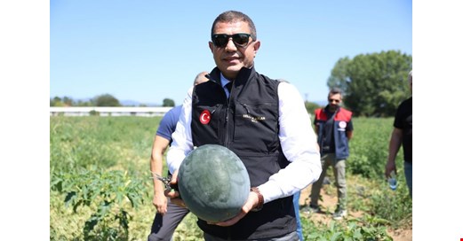 VALİ ASLAN, KARPUZ TARLASINDA "ÜRETİCİNİN YANINDA !.."