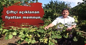 54 lira fındık fiyatı çiftçiyi memnun etti
