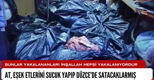 At ve eşek etlerini Düzce’de piyasaya süreceklermiş
