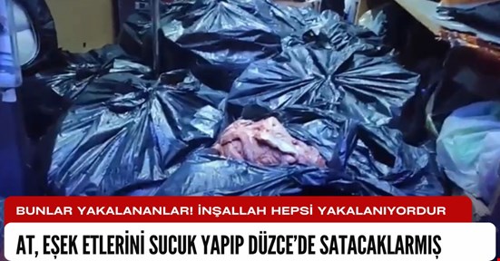 At ve eşek etlerini Düzce’de piyasaya süreceklermiş