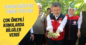 Bakan Yumaklı fındık topladı! Önemli açıklamalar yaptı. Her cümlesi gündem olur