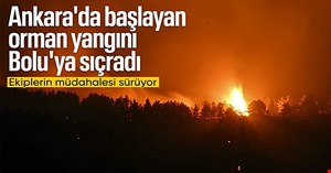 Bolu'daki orman yangını 18 saattir devam ediyor