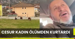 Cesur kadın, tosunların saldırısına uğrayan besiciyi kurtardı