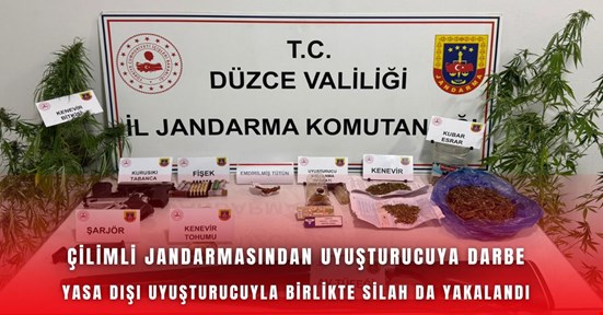 Çilimli jandarmasından uyuşturucu operasyonu