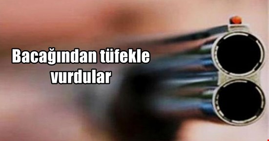 Cumayeri’nde 1 kişiyi bacağından av tüfeği ile vurdular