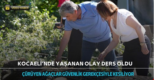 Çürüdü kesildi! Ya birisinin üzerine düşseydi