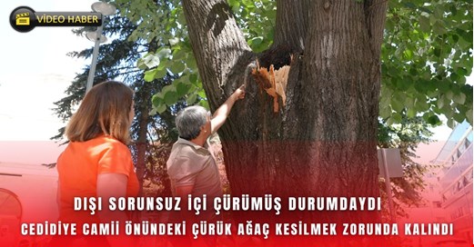 Dışarıdan sağlıklı görünüyordu içi çürümeye başlamış tehlike saçıyordu