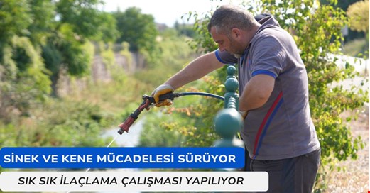Düzce Belediyesi otluk ve sulak alanlarda ilaçlama çalışmaları yapıyor