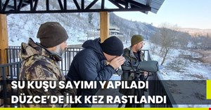 Düzce’de ilk kez rastlandı