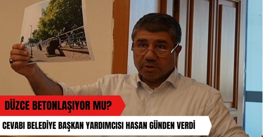 Düzce’de kişi başına 29 metrekare yeşil alan düşüyor